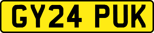 GY24PUK