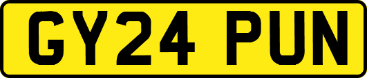 GY24PUN