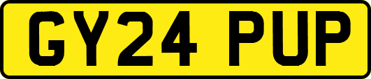 GY24PUP