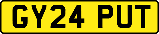 GY24PUT