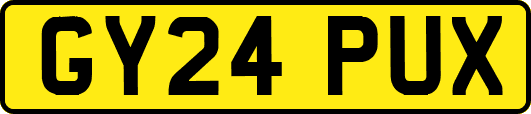 GY24PUX