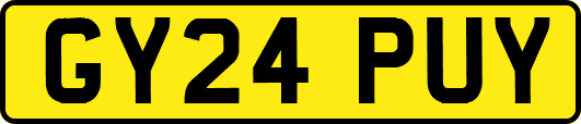 GY24PUY