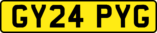 GY24PYG