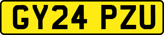 GY24PZU
