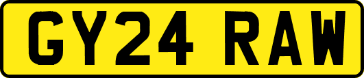 GY24RAW