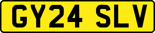 GY24SLV