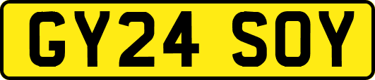 GY24SOY