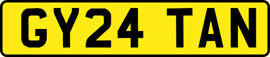 GY24TAN