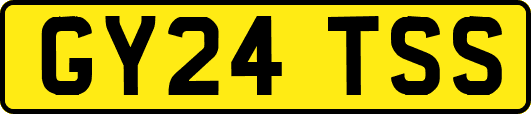 GY24TSS
