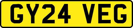GY24VEG