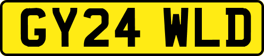 GY24WLD