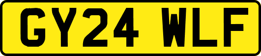 GY24WLF