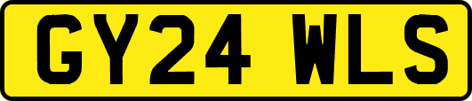GY24WLS