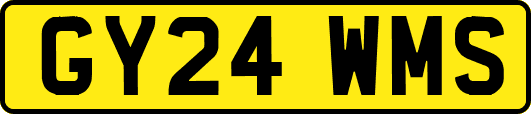 GY24WMS