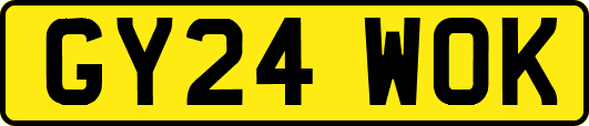 GY24WOK
