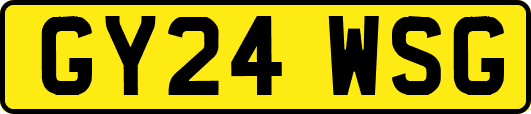 GY24WSG