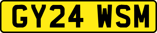 GY24WSM