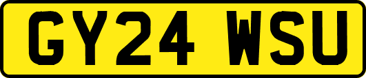 GY24WSU
