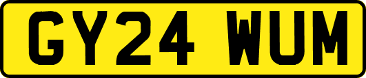 GY24WUM
