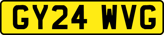 GY24WVG