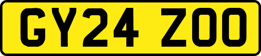 GY24ZOO