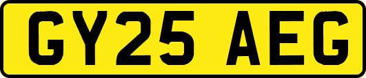GY25AEG