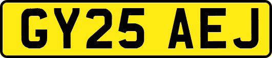 GY25AEJ