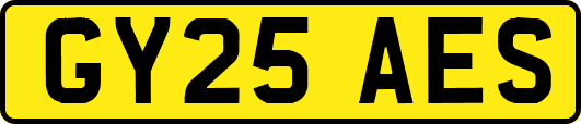 GY25AES