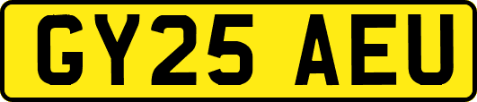GY25AEU