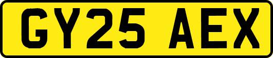GY25AEX