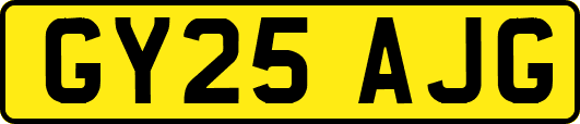 GY25AJG