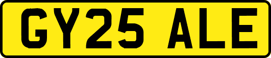GY25ALE