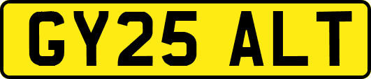 GY25ALT