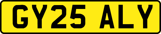GY25ALY