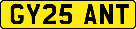 GY25ANT