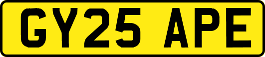 GY25APE
