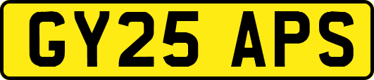 GY25APS