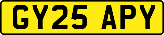 GY25APY