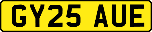 GY25AUE