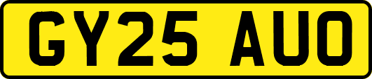 GY25AUO