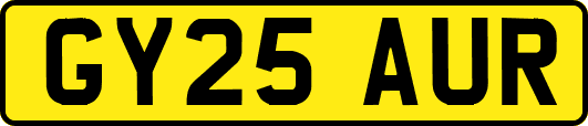 GY25AUR