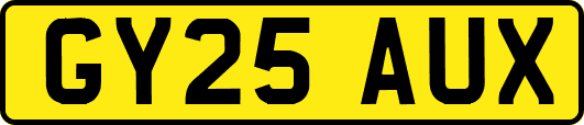GY25AUX