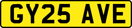 GY25AVE