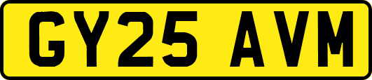 GY25AVM