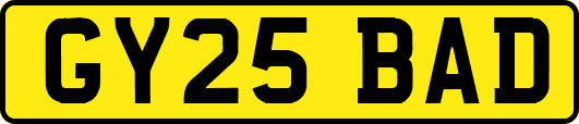 GY25BAD