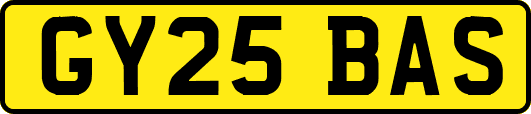 GY25BAS