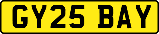 GY25BAY