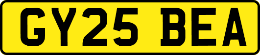 GY25BEA
