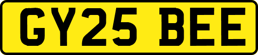 GY25BEE