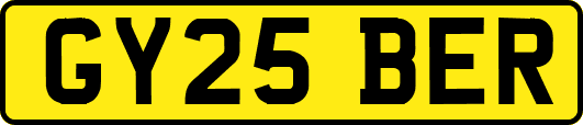 GY25BER